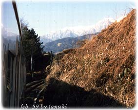 tagiri