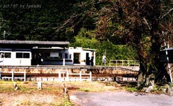 mikakawai