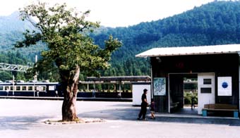 mikawamakihara