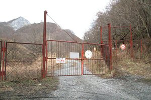 哴zR
