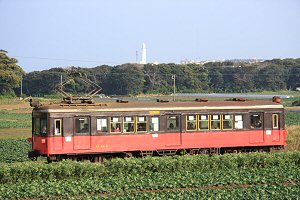 i铔obN
