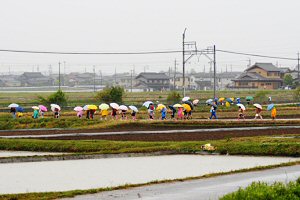 カラフルな傘と雨合羽が映える