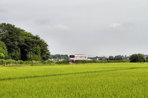 cnтs