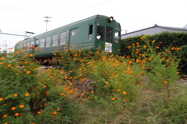 5000nB