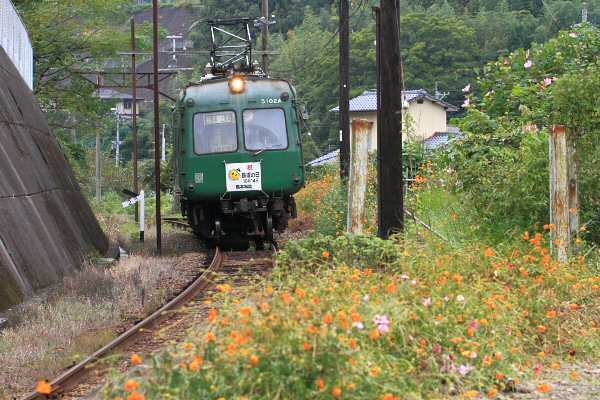 rcwɐi5000n