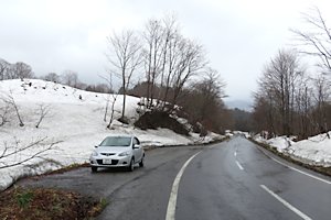 o쓻t