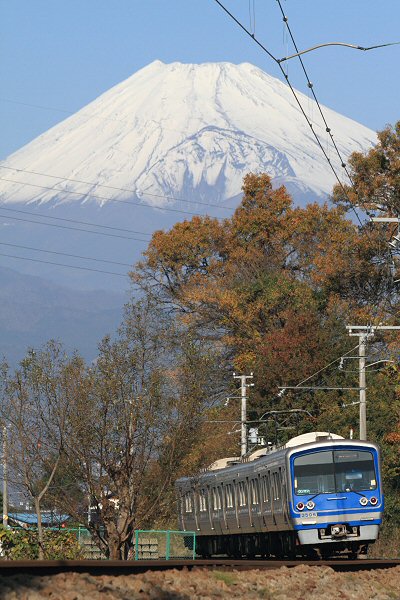 XeXROOOn