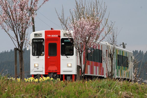 ŐV̂xqROOP擪
