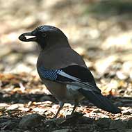 IMG_1057