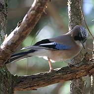 IMG_1066