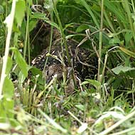 IMG_1586
