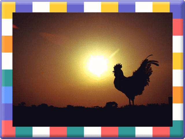 �t���[��
