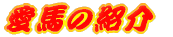 n̏Љ 