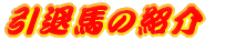 n̏Љ 