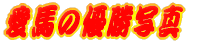 n̗Dʐ^ 