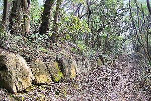 高良山神籠石