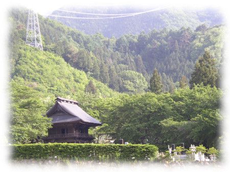 初夏の景德院、初鹿野