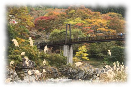 御岳渓谷遊歩道