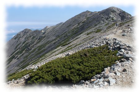 薬師岳山頂を仰ぐ