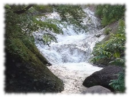 前日の豪雨で水量豊かな二口沢