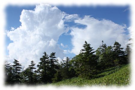 破風高原の夏空、猛獣の争い