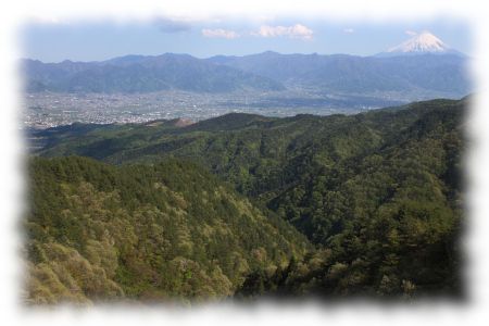 八幡山付近から甲府盆地を望む