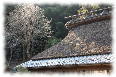 奥多摩・丹三郎屋敷