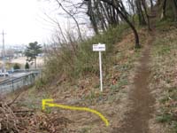 カタクリ西群生地の看板とカタクリ群生地