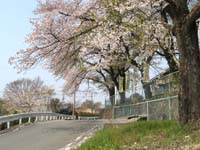 8区公民館下の坂道と山際の家並