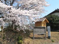 爪引き観音堂と観音像