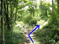 鞍部の分岐点と尾根からの眺望