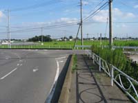 広々と広がる大たんぼ