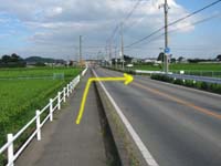 県道を超えてさらに南へ