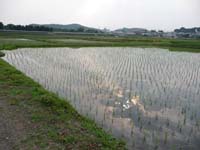 広々とした田園風景と第二岩宿踏切