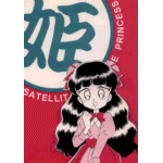 P SATELLITE PRINCESS