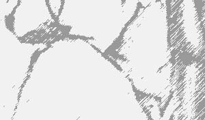 tOXG̊فB