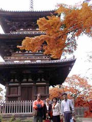 Kouyou