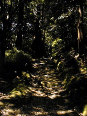 [Slope]