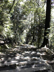 [Steep Steps]