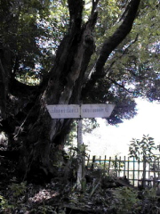[Guidepost]
