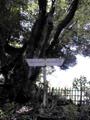 [Guidepost]