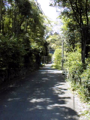[Main Road]