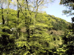 [Mountain and Sky]