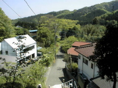 [Looking Back]