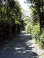 [Main Road]