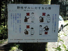[Monkey]