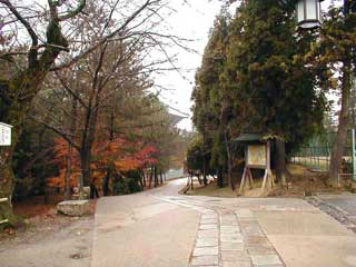 [Path in Todaiji #4]