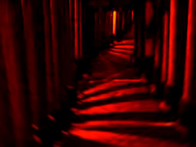 [Fushimi Inari Taisha: Red and Black]