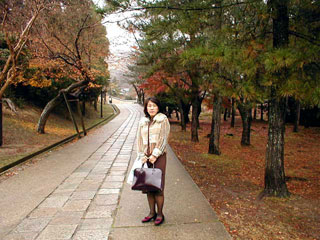 [Trees in Todaiji #2]