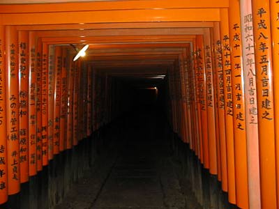 [Standing in The Torii Tunnel]